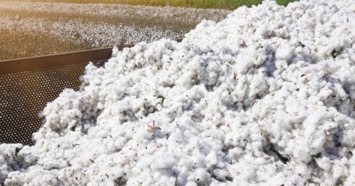 Guvernul va achita o obligație veche de mai bine de 30 de ani către SUA, legată de un împrumut destinat importului de bumbac.