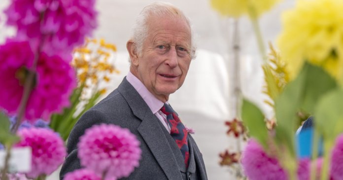 Regele Charles, declarație recentă referitoare la tratamentul său contra cancerului: „Poate fi copleșitor”