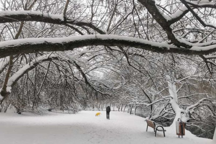 Ninsori, ploi și frig în București. Alertă meteorologică emisă în timpul nopții.