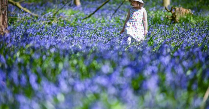 Prognoza vremii pentru următoarele 4 săptămâni: temperaturi superioare mediei sezonului, precizează specialiștii în meteorologie.