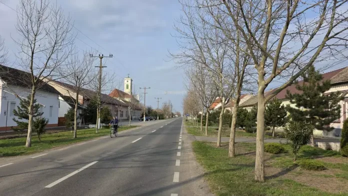 Român întors acasă după 25 de ani în Germania: „Chiar și urzica arată mai bine aici decât trandafirii de acolo” Român întors acasă după 25 de ani în Germania: „Chiar și urzica arată mai bine aici decât trandafirii de acolo”